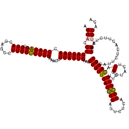 secondary structure