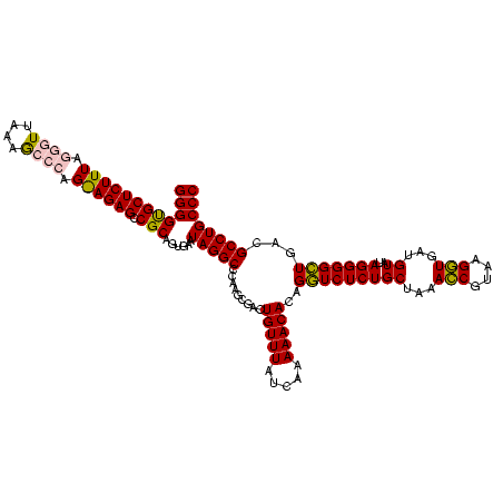 secondary structure