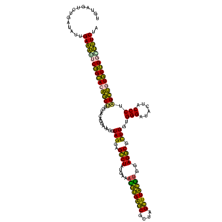 secondary structure