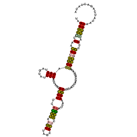 secondary structure