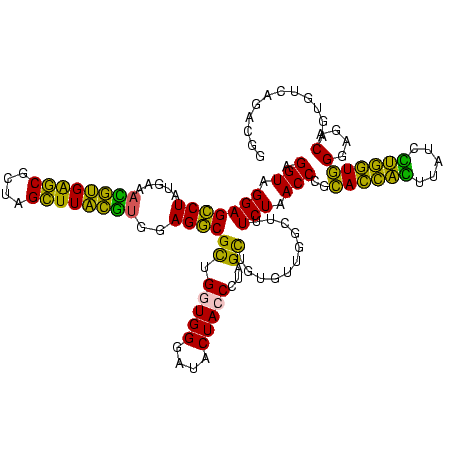 secondary structure
