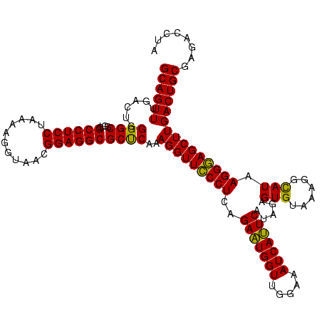 secondary structure