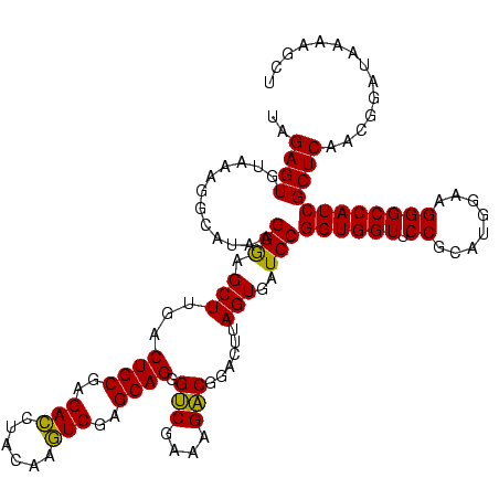 secondary structure
