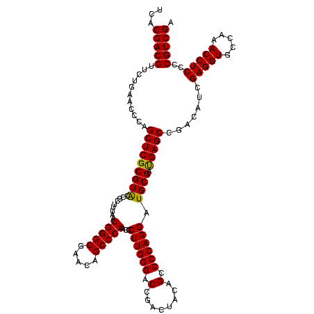 secondary structure