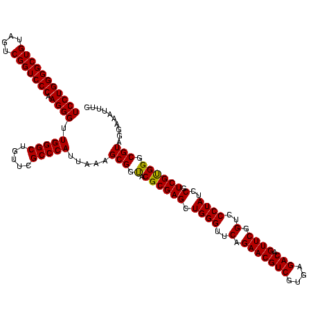 secondary structure