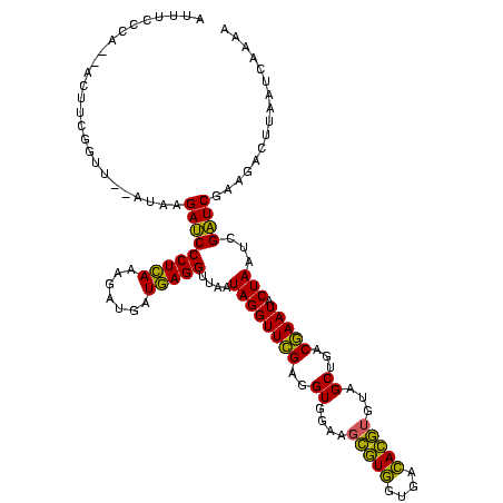 secondary structure