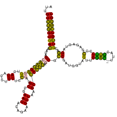 secondary structure