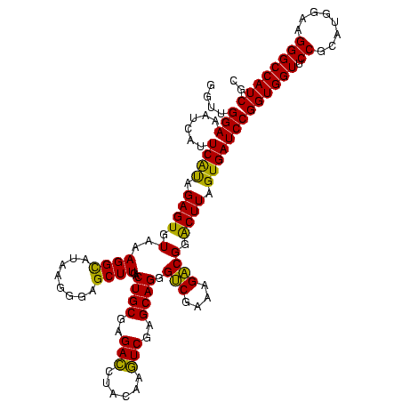 secondary structure