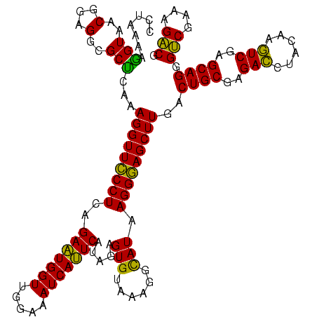 secondary structure