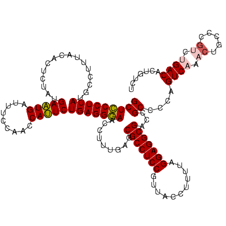 secondary structure