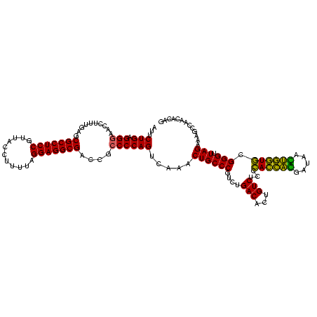 secondary structure