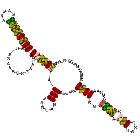 secondary structure