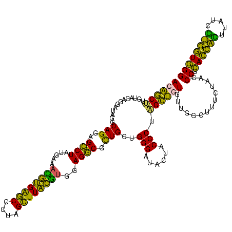 secondary structure