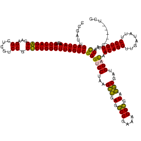 secondary structure