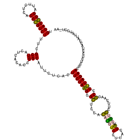 secondary structure
