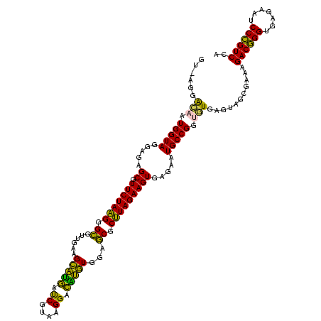 secondary structure
