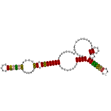 secondary structure