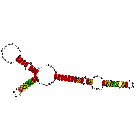 secondary structure