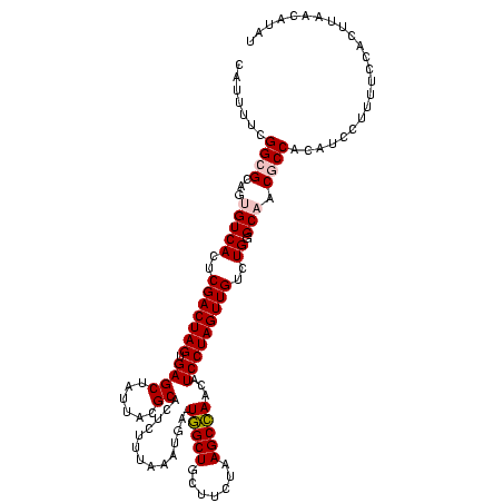 secondary structure