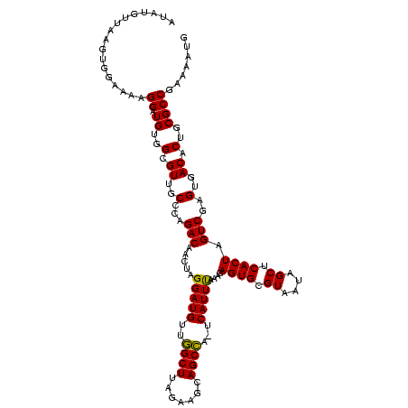 secondary structure