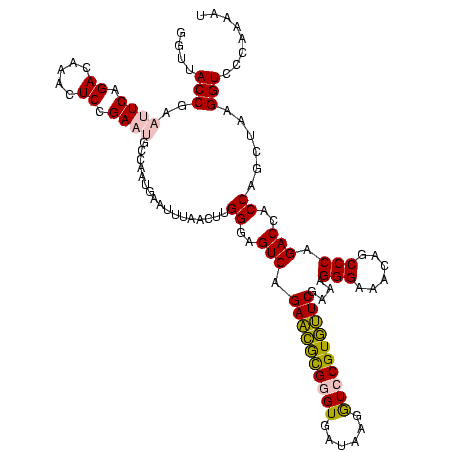 secondary structure