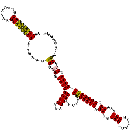 secondary structure