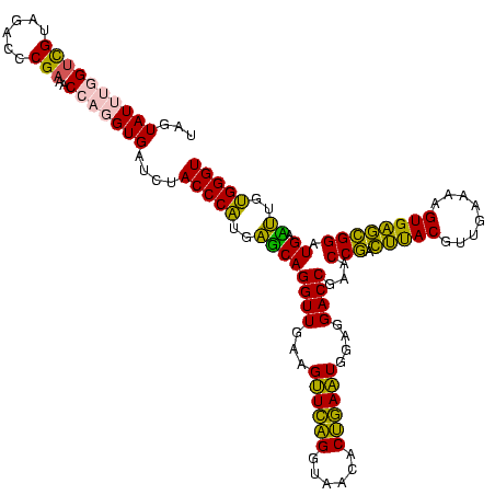 secondary structure
