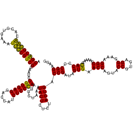 secondary structure