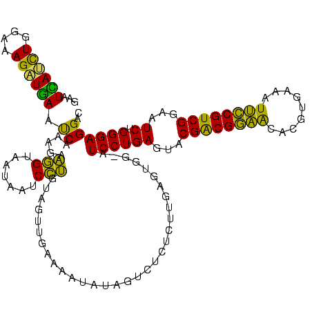 secondary structure