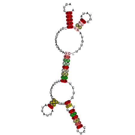 secondary structure