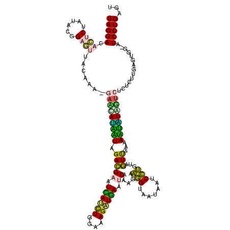 secondary structure