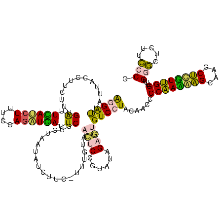 secondary structure