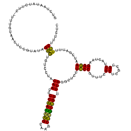 secondary structure