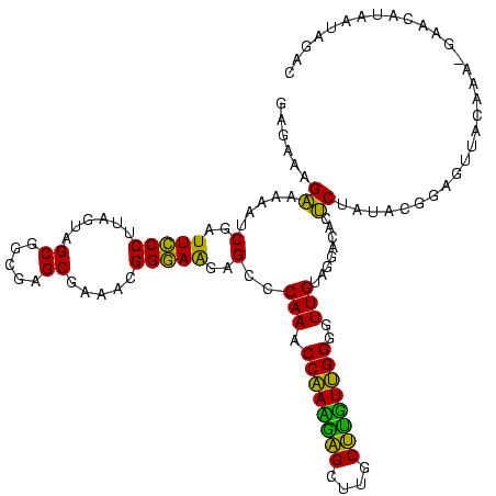 secondary structure