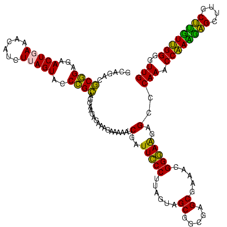 secondary structure