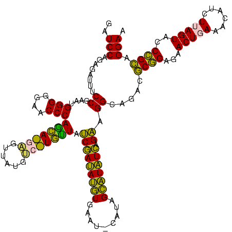 secondary structure