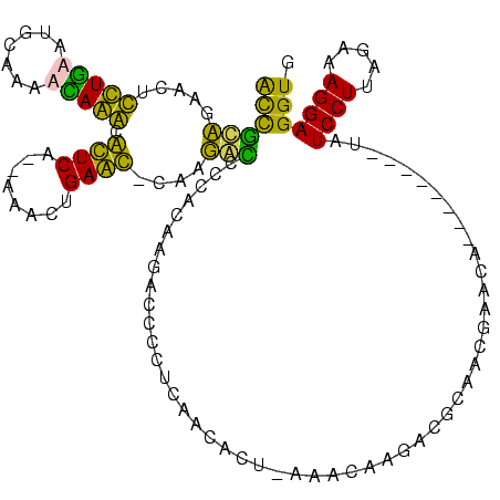 secondary structure