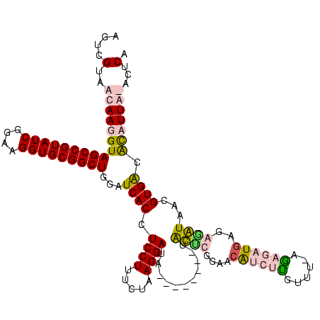 secondary structure
