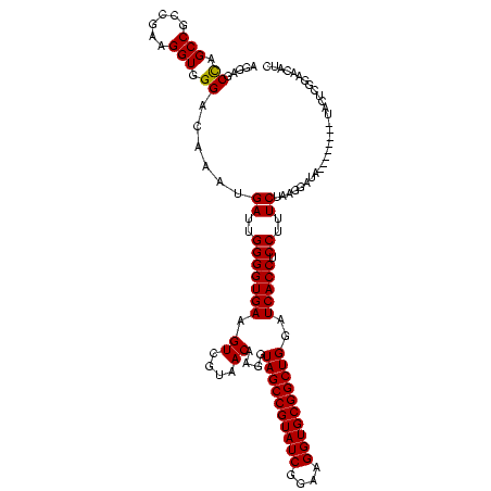 secondary structure