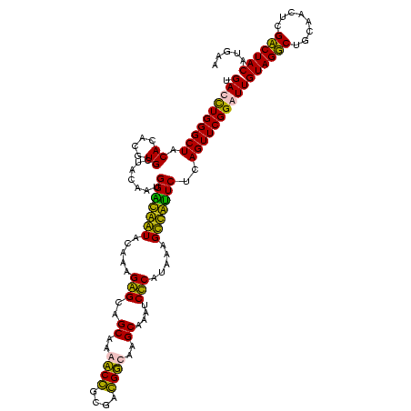 secondary structure