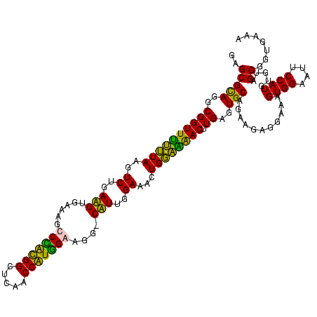 secondary structure
