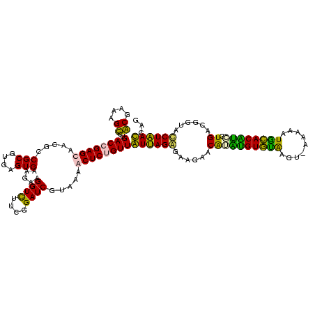 secondary structure