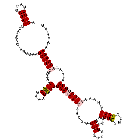 secondary structure