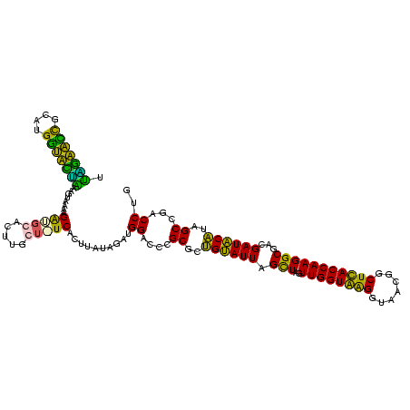 secondary structure