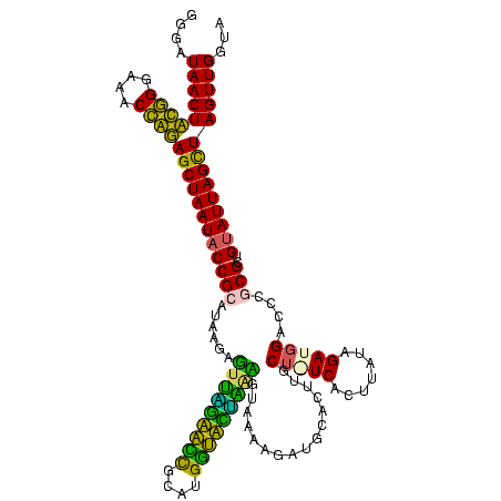 secondary structure