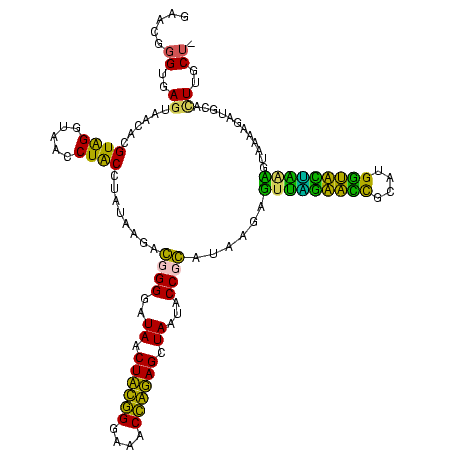 secondary structure