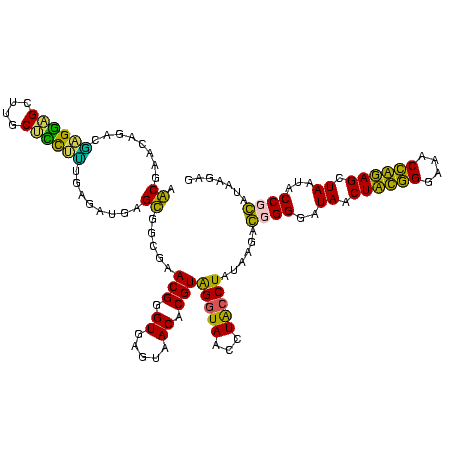 secondary structure