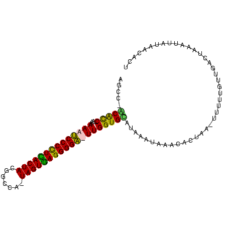 secondary structure