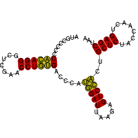 secondary structure