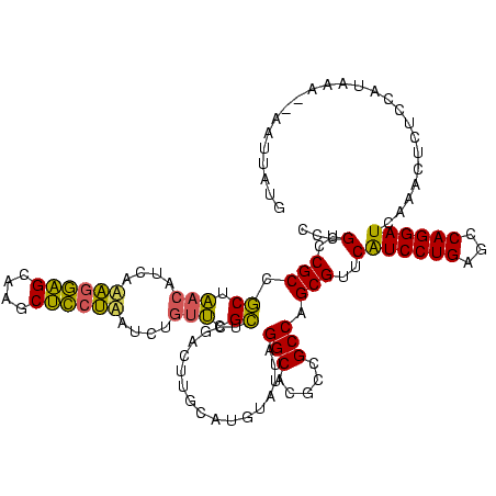 secondary structure